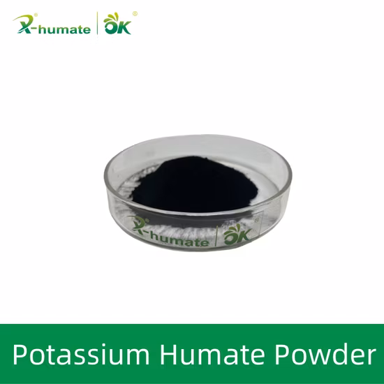 Parfait hydrosoluble anti