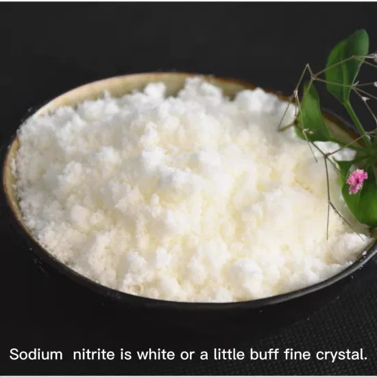 Sel inorganique de poudre de nitrite de sodium 99 % minimum